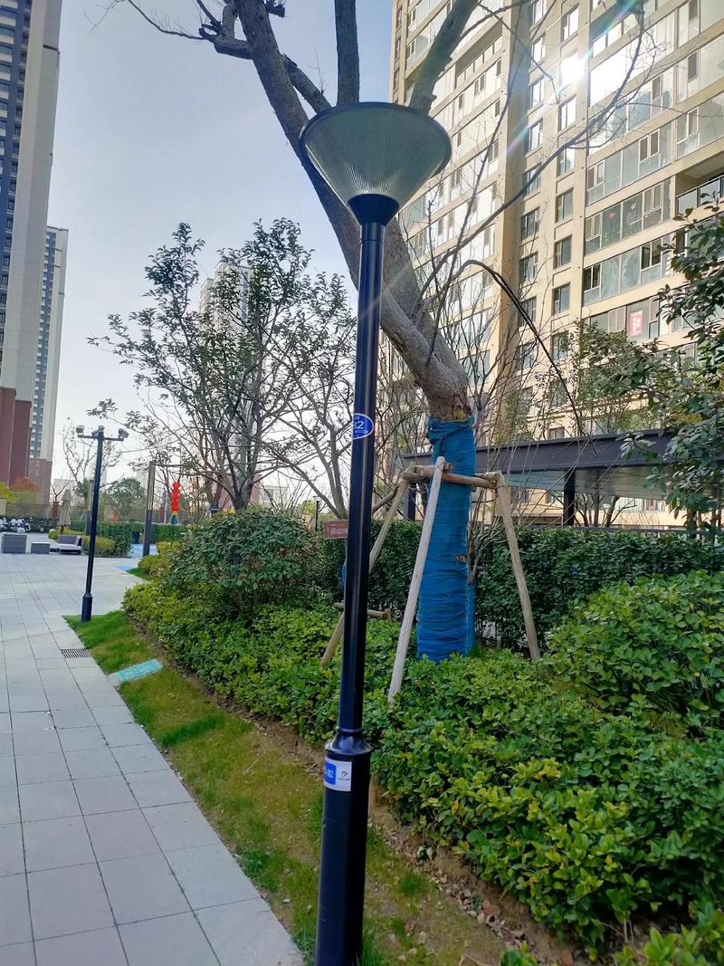 庭院灯 光影里的守望者，静谧时光的温柔刻痕